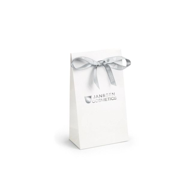Gift Bag with bow (1pc) 919.011