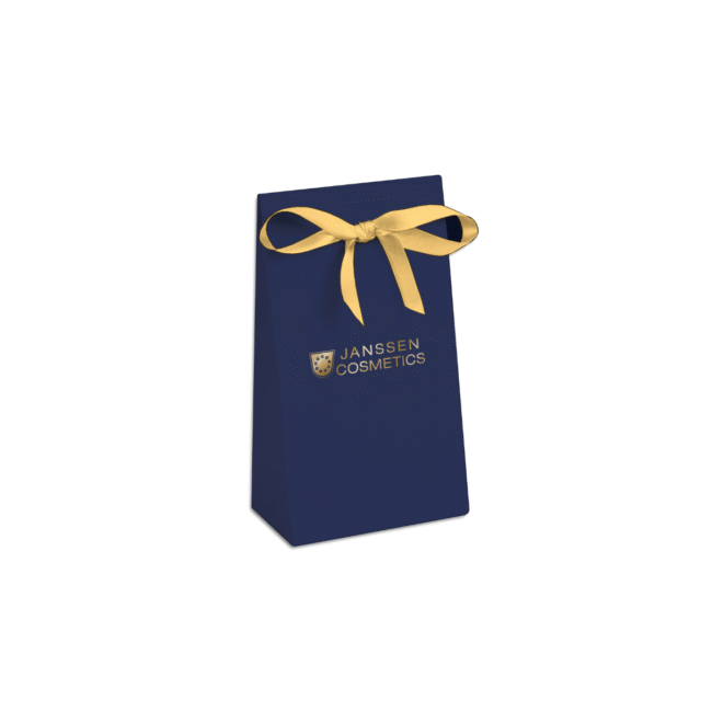 Gift bag with bow Christmas 2024 (1 pc) 919079